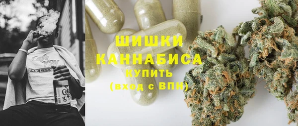 ГАЛЛЮЦИНОГЕННЫЕ ГРИБЫ Волосово