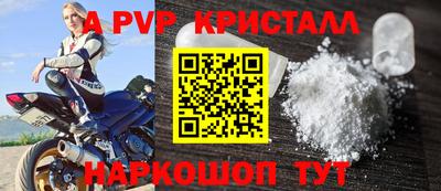 молекула духа Кингисепп