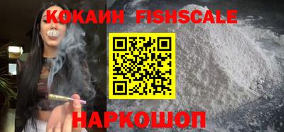молекула духа Кингисепп