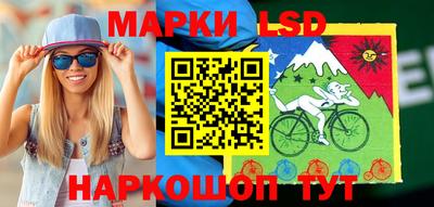 молекула духа Кингисепп