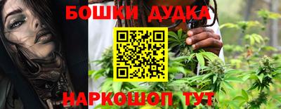 молекула духа Кингисепп