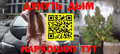 молекула духа Кингисепп