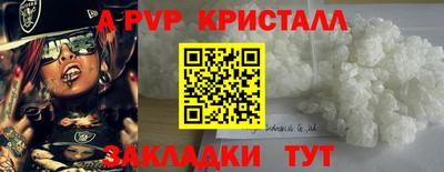молекула духа Кингисепп