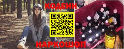 молекула духа Кингисепп