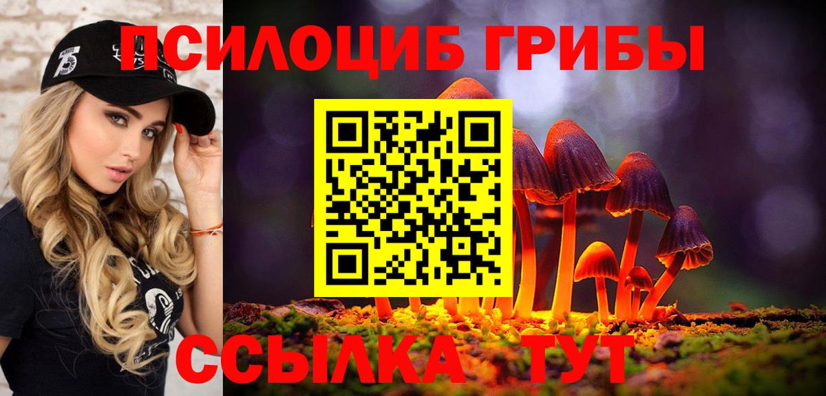 Псилоцибиновые грибы GOLDEN TEACHER Муром